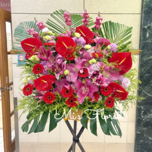 開張花籃 – 紅色百合花 & 紅色太陽菊 & 紅掌