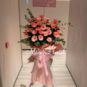 開張花籃 – 粉色太陽菊