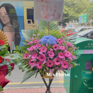 開張花藍 - 繡球花