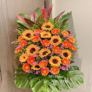 開張花藍 / 畫展花藍 - 向日葵非洲菊花藍（橙色系列）