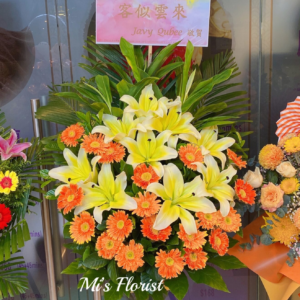 開張花藍 - 百合花 & 橙色非洲菊